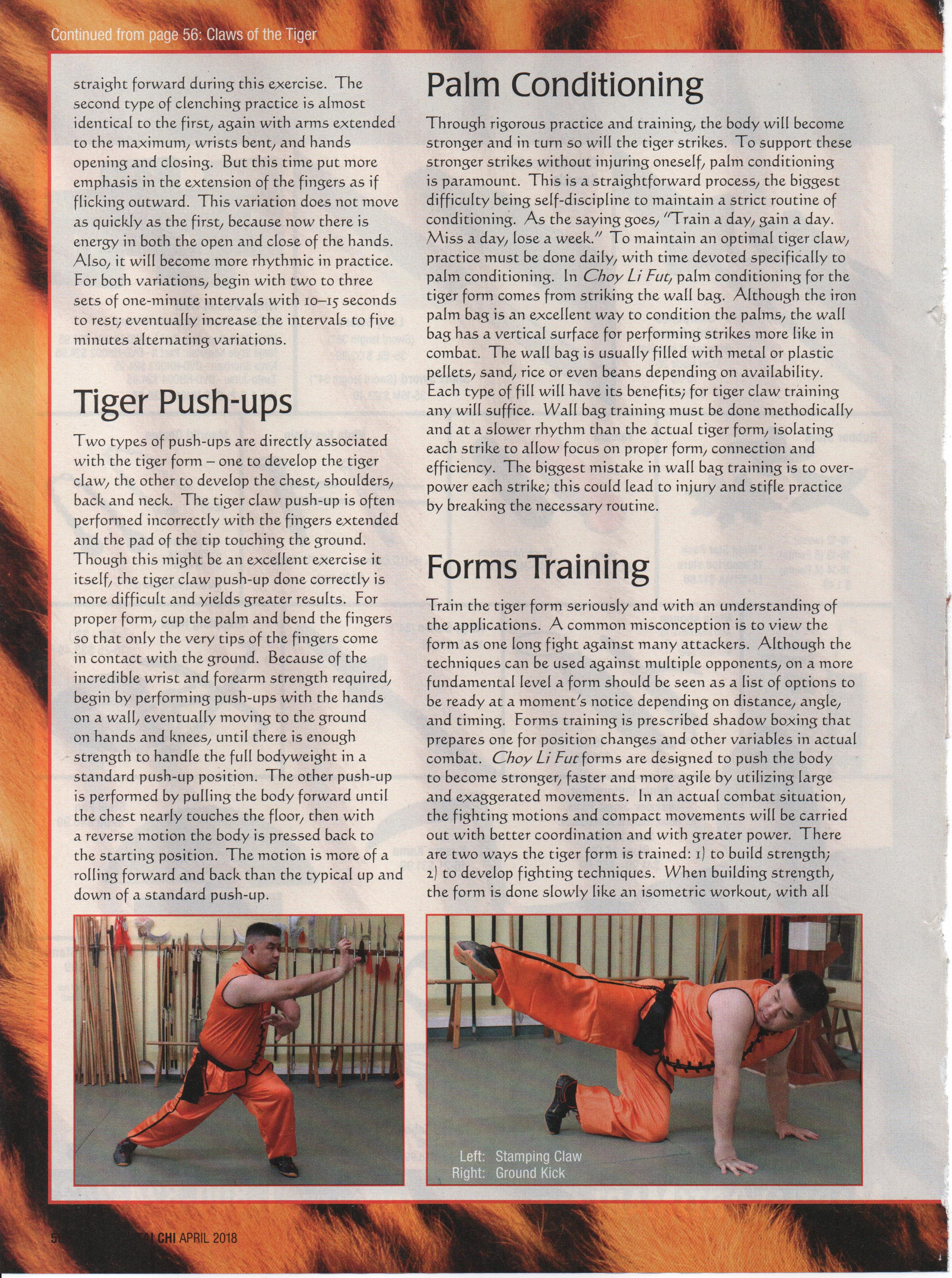 Tiger - page 4